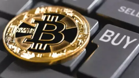 Сколько биткоинов купят жадные до монет институционалы?