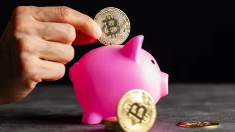 Blockchain Group купила биткоины, несмотря на отсутствие прибыли