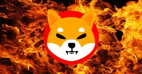 Разработчики Shiba Inu изобрели новый способ сжигания криптовалюты
