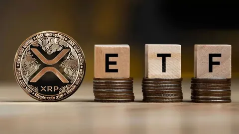 Приток средств в XRP-ETF от Bitwise с начала года превысил $200 млн