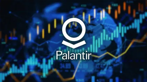 Аналитик с Уолл-стрит советует покупать акции Palantir из-за будущего роста