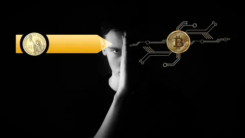 Как делят биткоины и другие криптоактивы при разводе супругов