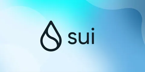 Фонд Sui Foundation обрабатывает перевод средств после нарушения графика блокировки токена SUI