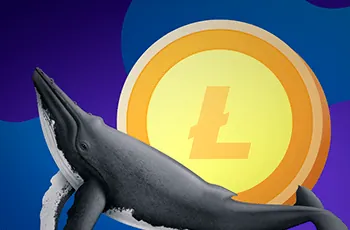 В Santiment зафиксировали всплеск накопления LTC крупными инвесторами