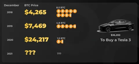 На 1 BTC в 2021 году можно было купить Tesla Model Y. На что еще хватило бы 1 BTC?