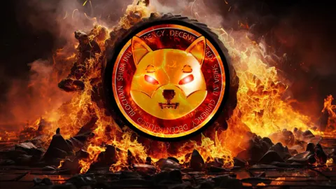 Скорость сжигания Shiba Inu увеличилась на 330% за один день после того, как Shibarium установил новый рекорд.