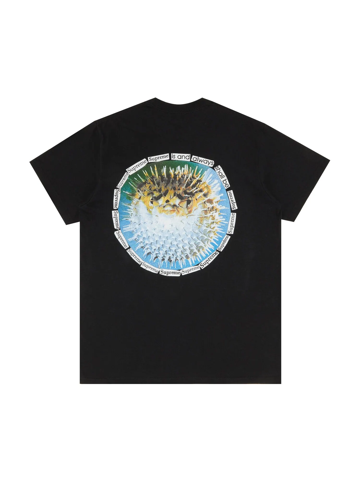 Футболка Supreme Blowfish — изображение 2 из 3, черный