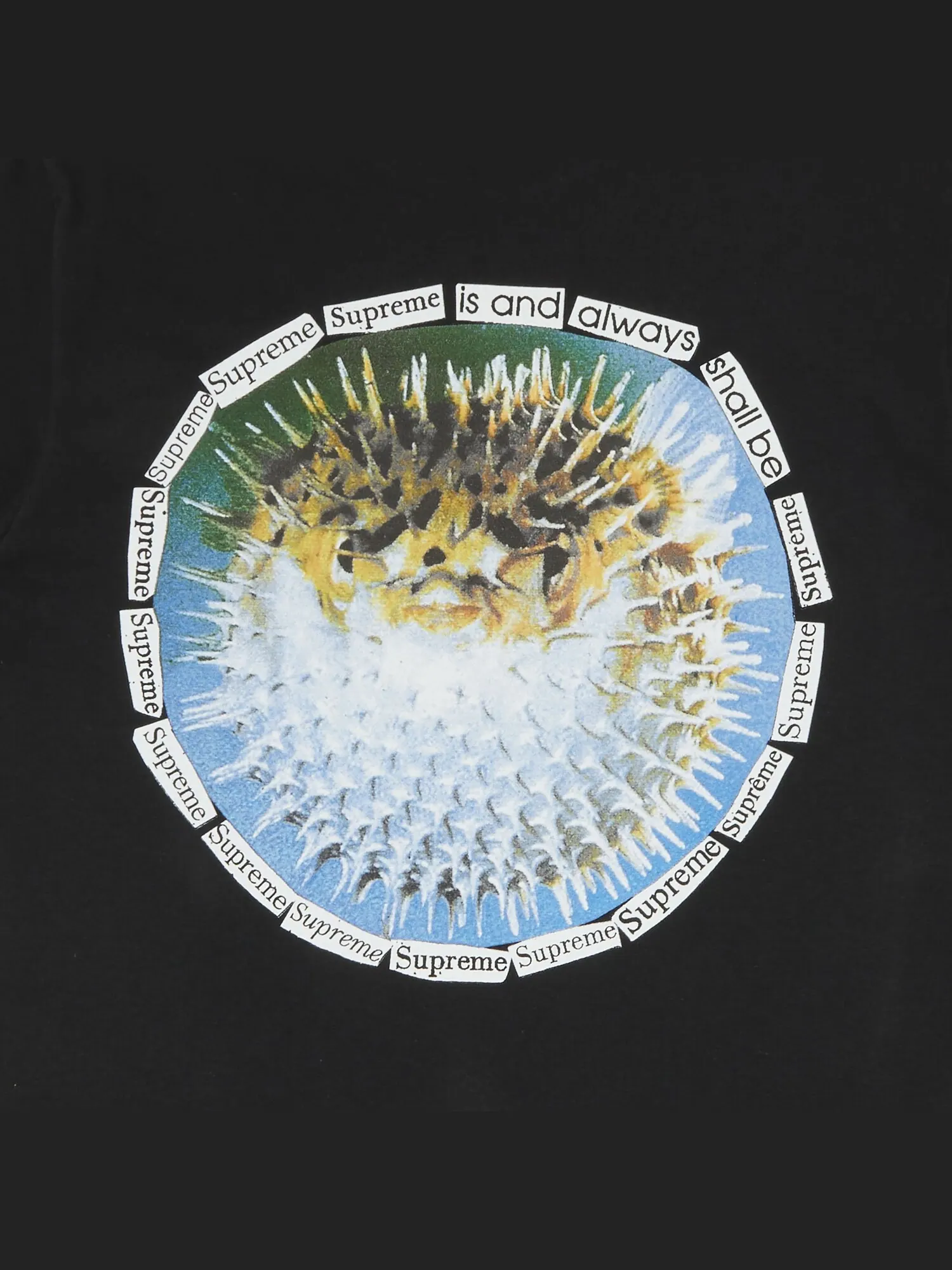 Футболка Supreme Blowfish — изображение 3 из 3, черный