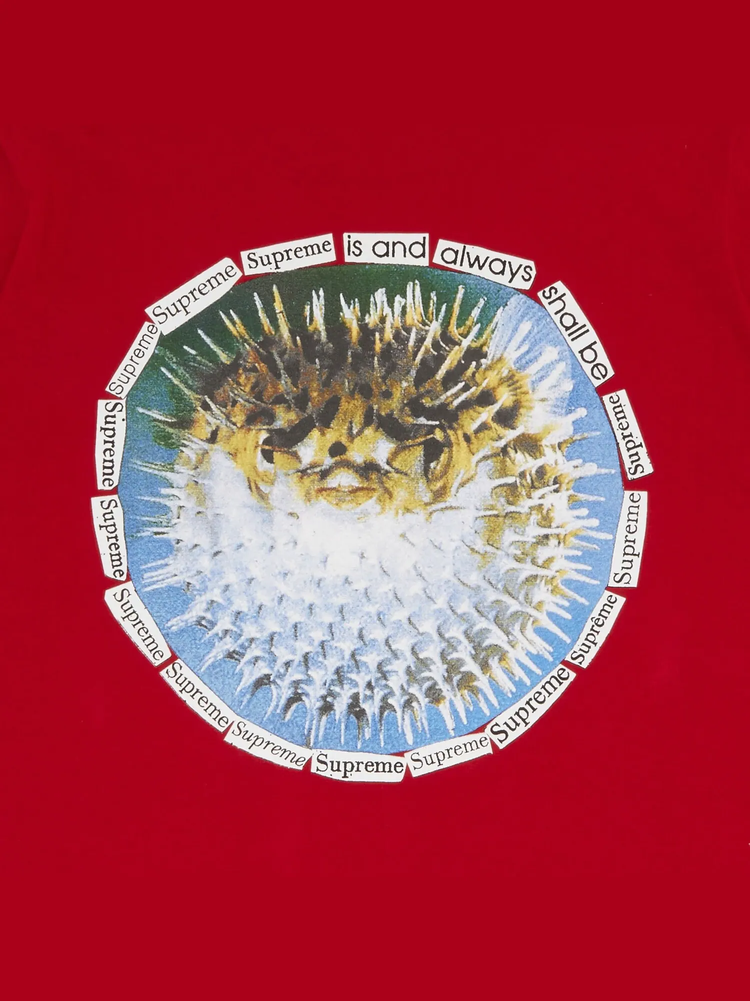 Футболка Supreme Blowfish — изображение 3 из 3, красный