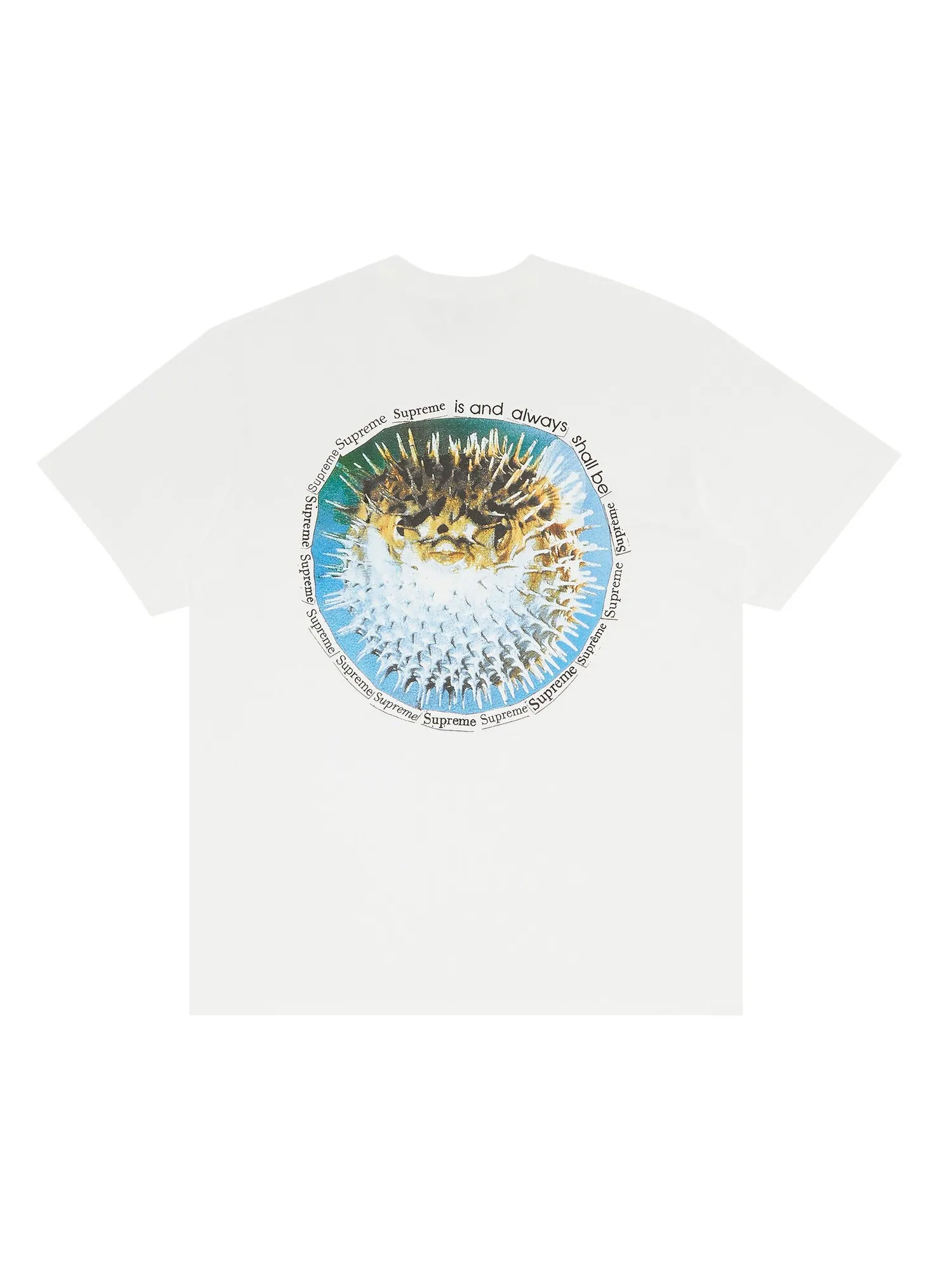 Футболка Supreme Blowfish — изображение 2 из 3, белый