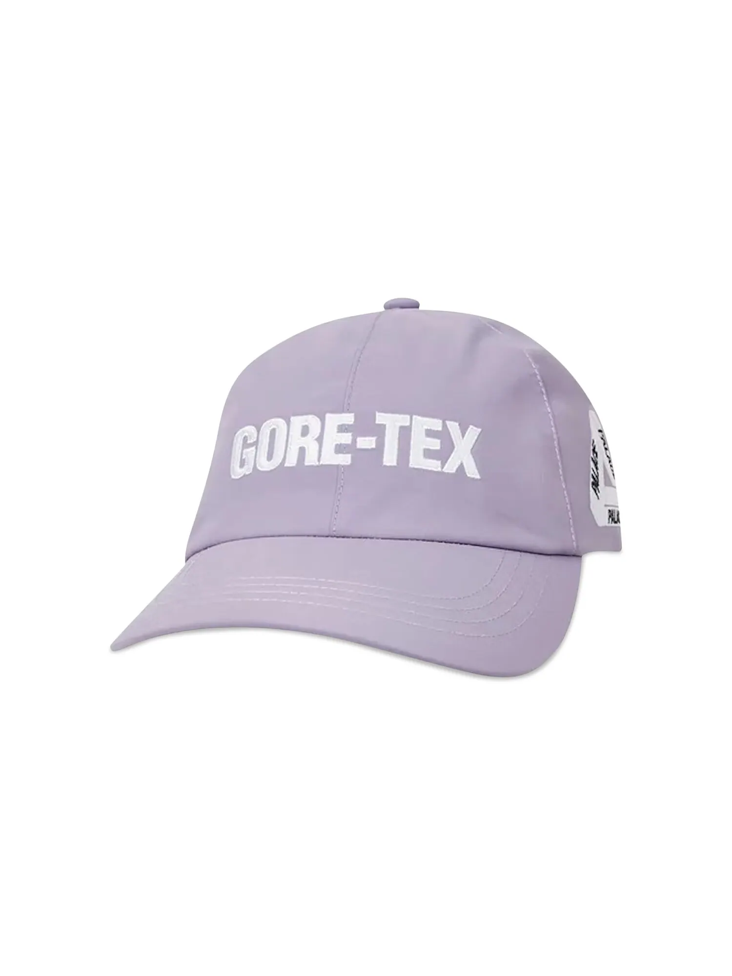 Palace Gore-Tex 6-панельный — изображение 1 из 3, фиолетовый