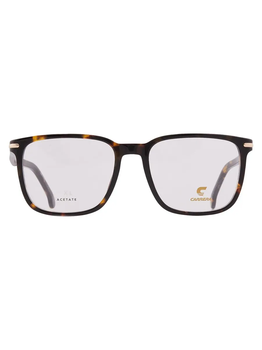 Мужские очки Carrera Demo Sport CARRERA 309 0086 54 — коричневый