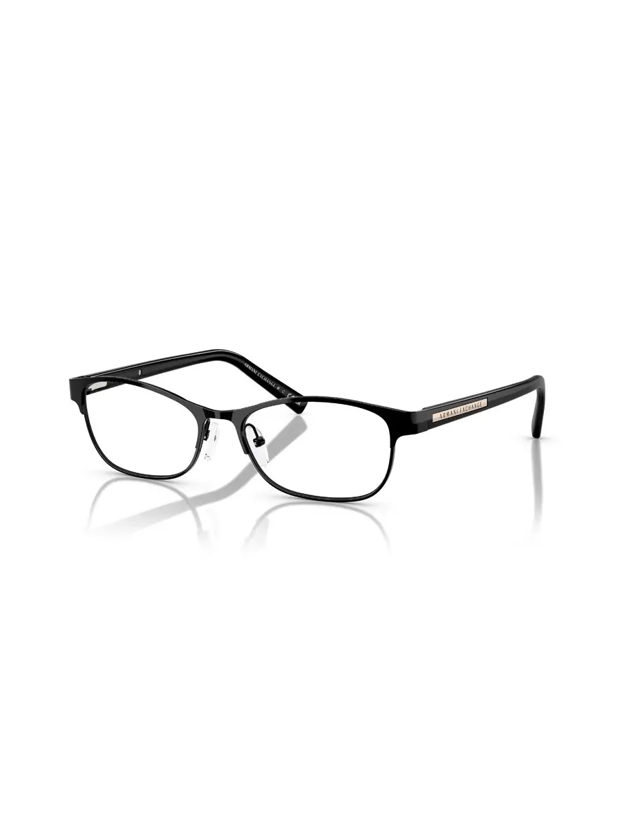 Мужские очки Armani Exchange Oval AX1010 6000 53 — изображение 1 из 1, черный