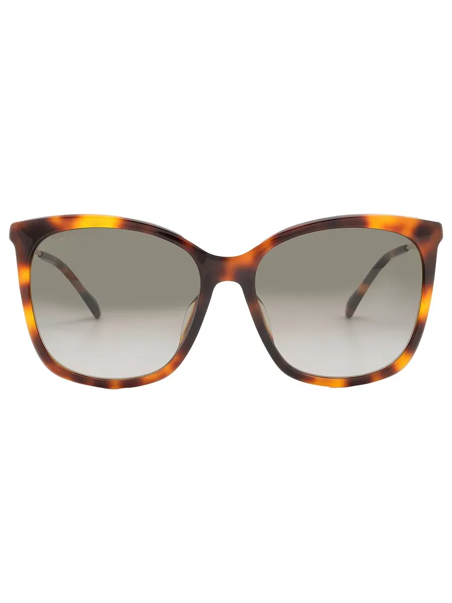 Женские солнцезащитные очки Jimmy Choo Brown Gradient Butterfly NEREA/G/S 005L/HA 57 — изображение 1 из 6, коричневый