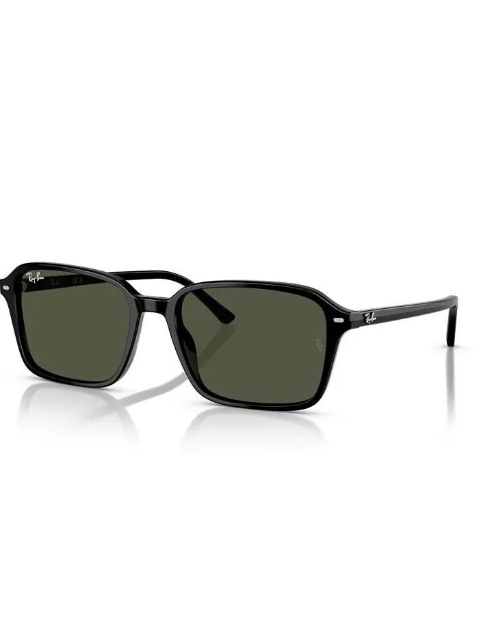 Унисекс солнцезащитные очки Raimond Round, модель RB2231 Ray-Ban