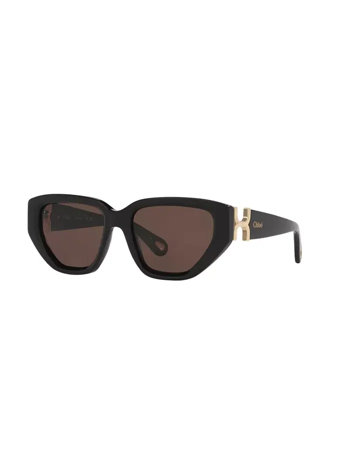Женские солнцезащитные очки «кошачий глаз», CH0235S 6N000529 Chloe — черный