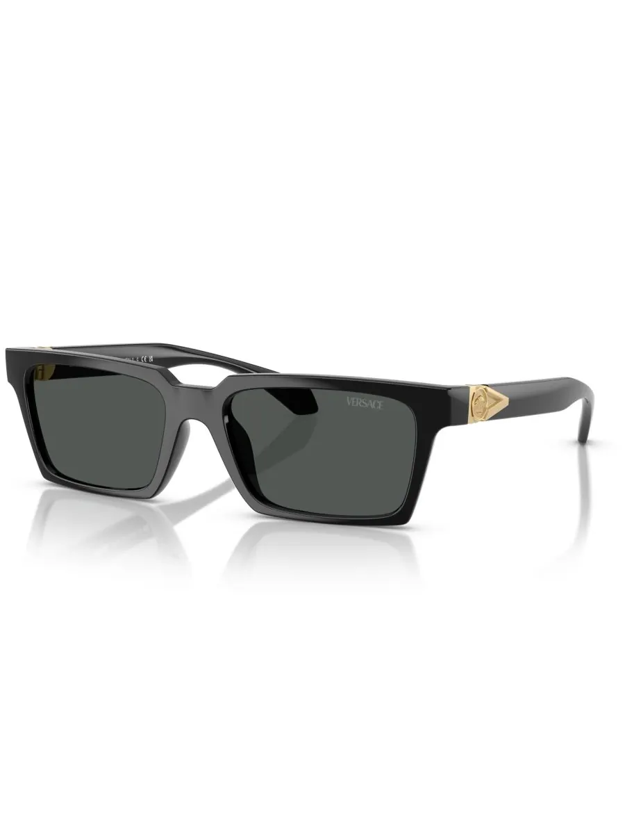 Мужские солнцезащитные очки большого размера, VE4490U Versace