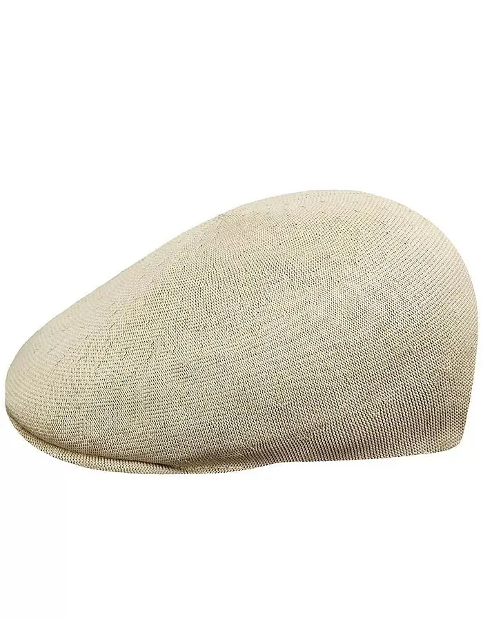 Мужская кепка Kangol — изображение 1 из 2, бежевый