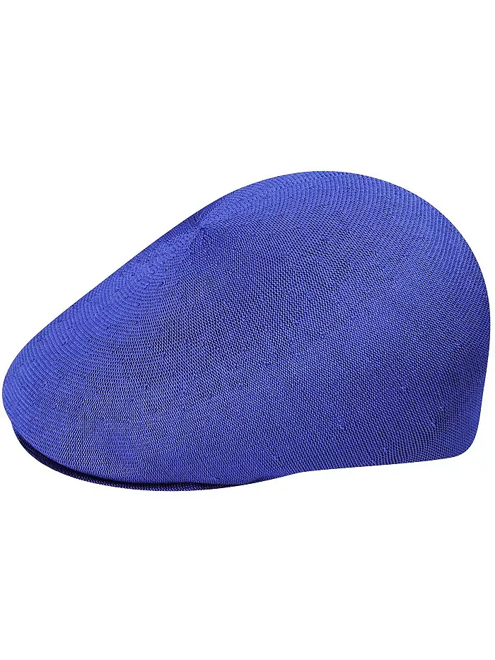 Мужские бесшовные кепки Tropic 507 Ivy и плоские кепки Kangol — изображение 1 из 2, синий