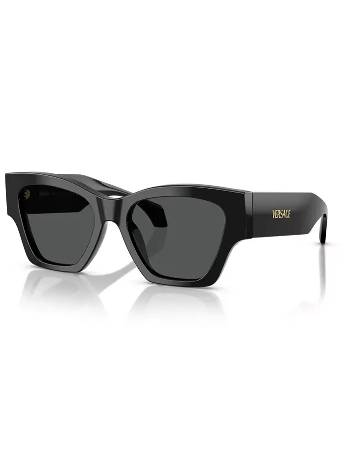 Женские солнцезащитные очки большого размера, VE4492U Versace