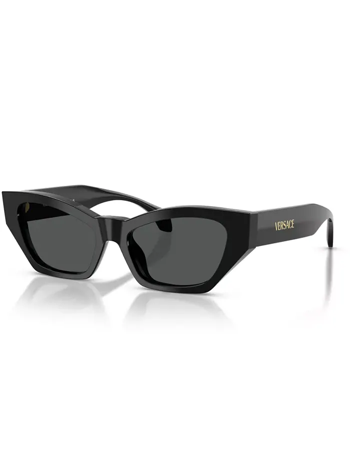 Женские солнцезащитные очки большого размера, VE4488U Versace