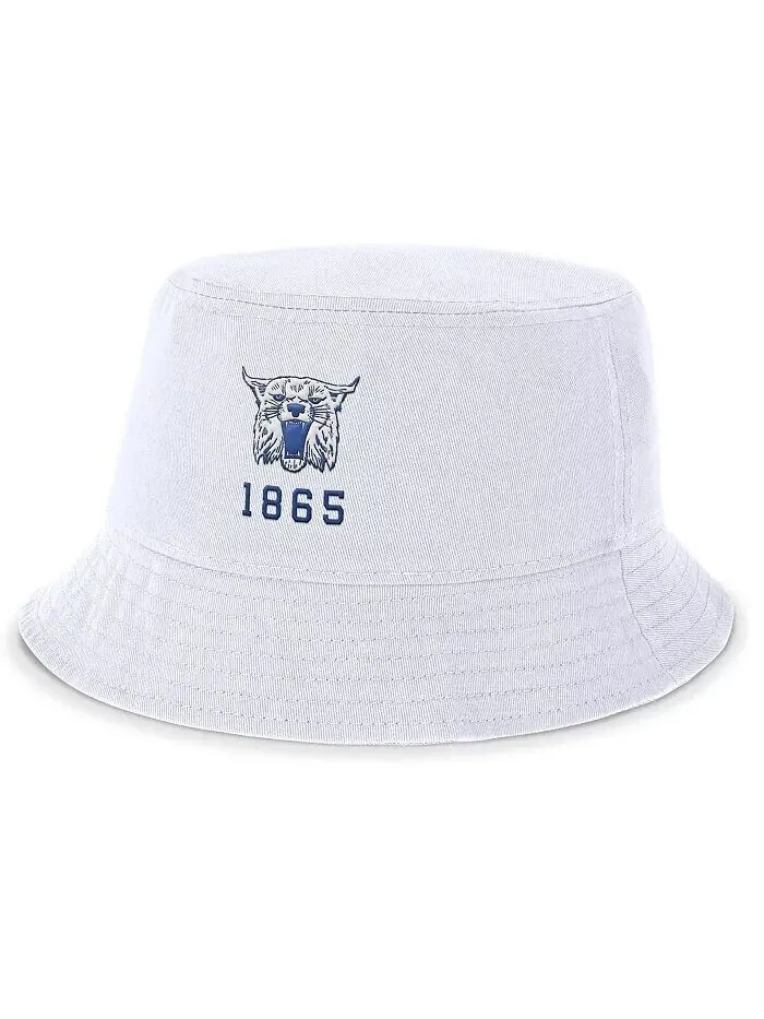 Мужская белая панама Kentucky Wildcats Legacy Apex Nike — изображение 1 из 2, белый