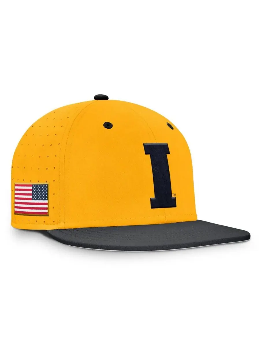 Мужская золотистая бейсболка Iowa Hawkeyes On-Field Dugout True Performance Fitted Hat Nike — изображение 1 из 4, золото