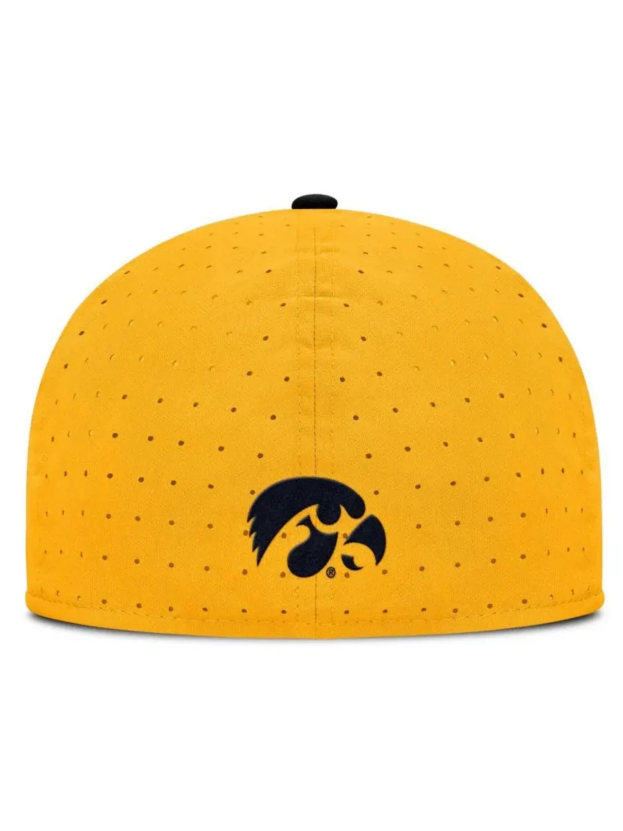 Мужская золотистая бейсболка Iowa Hawkeyes On-Field Dugout True Performance Fitted Hat Nike — изображение 2 из 4, золото