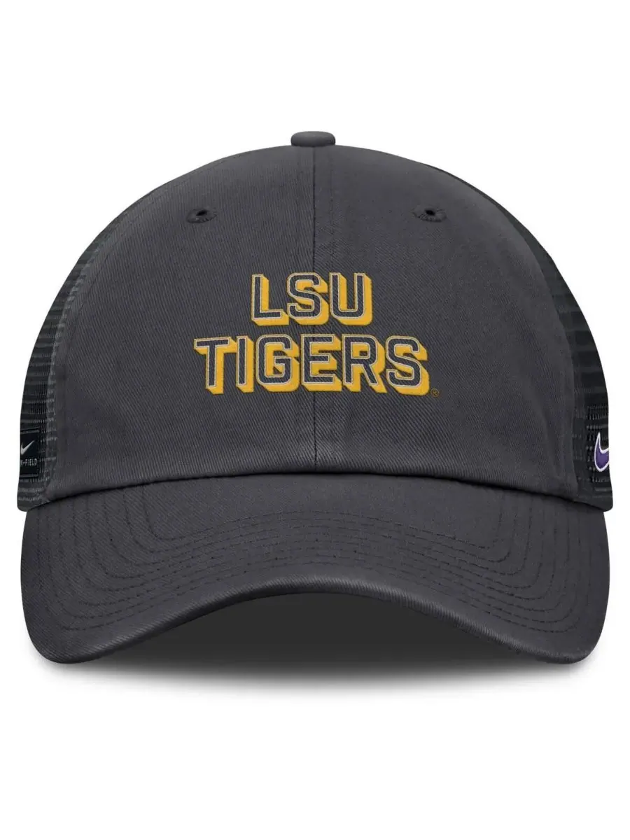 Nike Мужская регулируемая бейсболка LSU Tigers 2025 Gameday On-Field Club цвета антрацит — изображение 2 из 4, серый