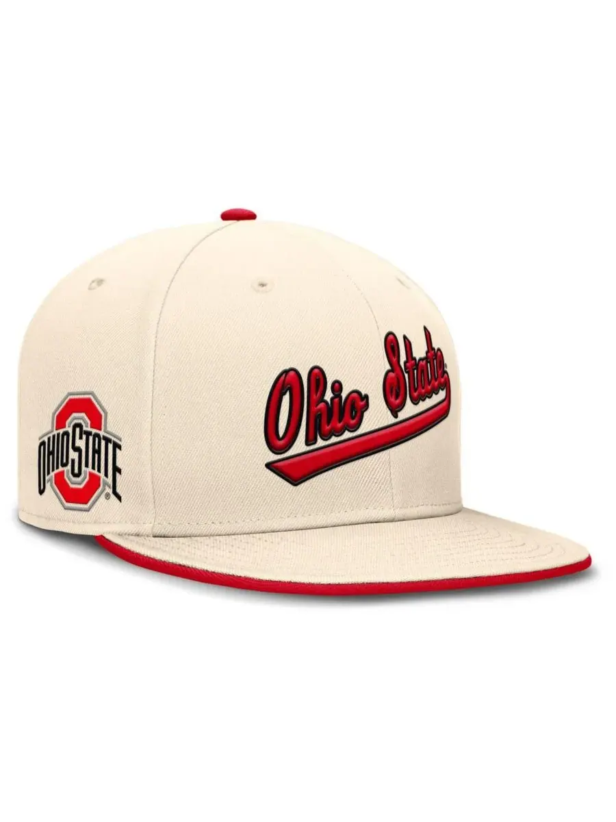 Мужская бейсболка Natural Ohio State Buckeyes Primetime True Performance Fitted Hat Nike — изображение 1 из 5, прозрачный