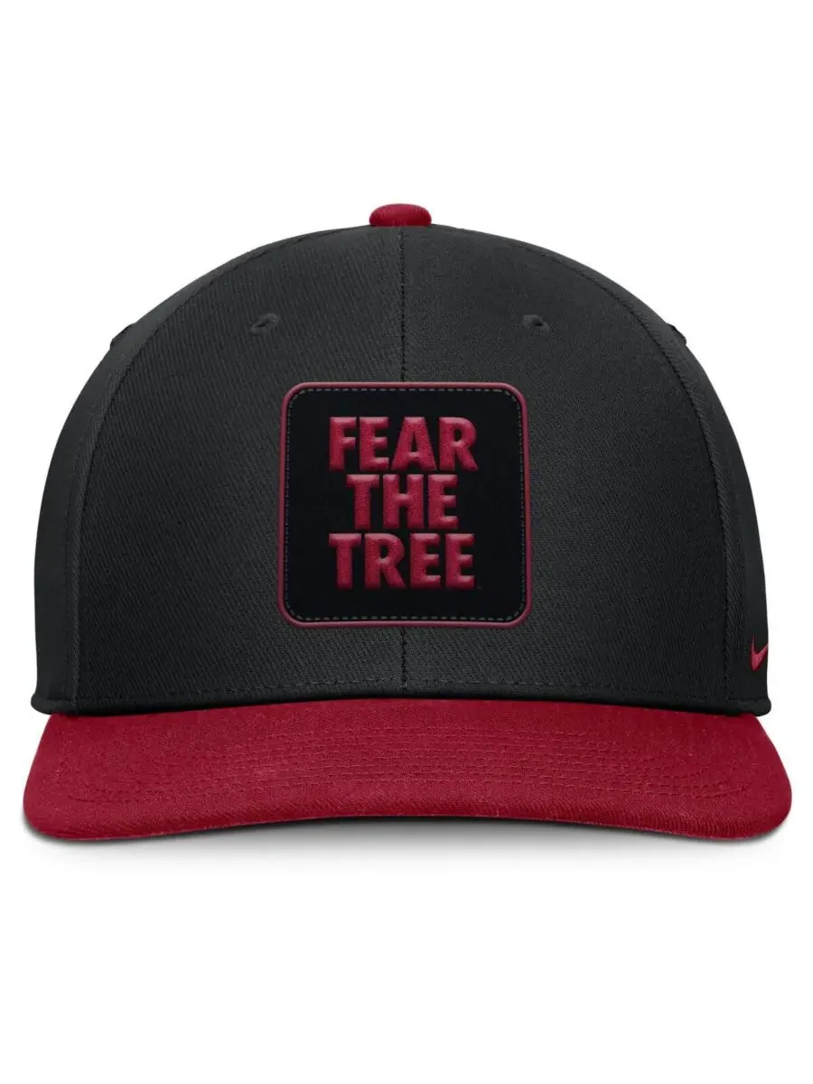 Nike Мужская черная/кардиналовая кепка Stanford Cardinal 2025 Sideline Campus Pro Local Snapback — изображение 2 из 4, черный