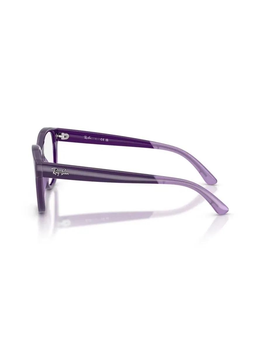 Детские очки RB1950 Ray-Ban — изображение 3 из 5