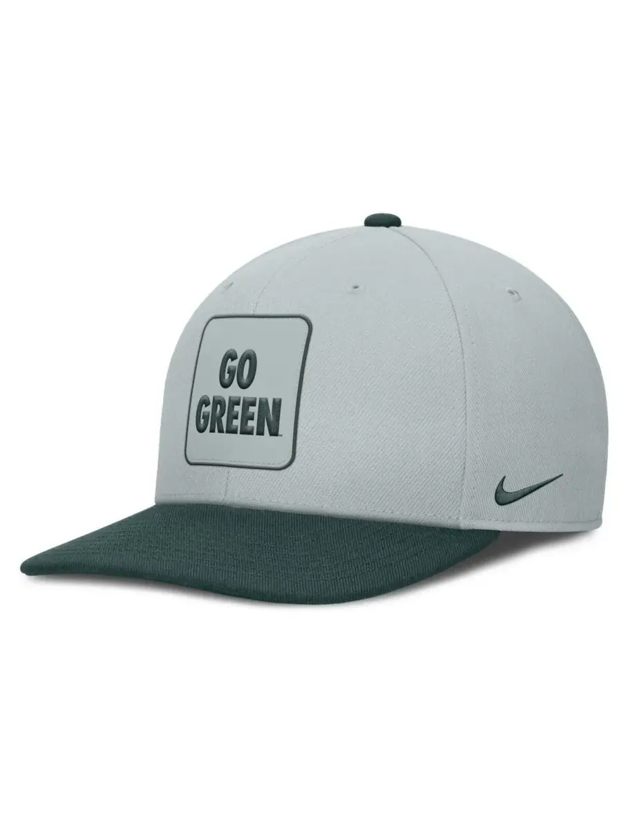 Nike Мужская серо-зеленая кепка-снепбек Michigan State Spartans 2025 Sideline Campus Pro Local — изображение 1 из 4