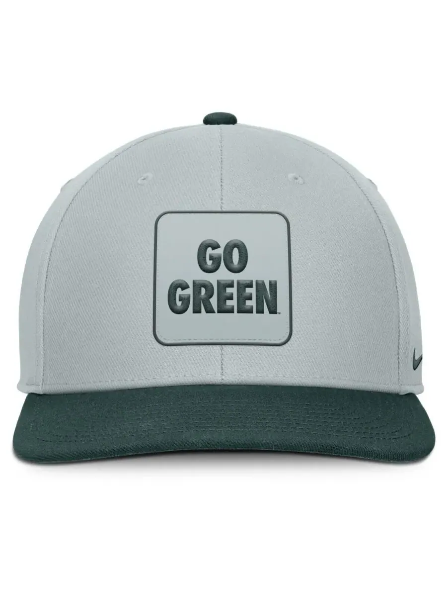 Nike Мужская серо-зеленая кепка-снепбек Michigan State Spartans 2025 Sideline Campus Pro Local — изображение 2 из 4