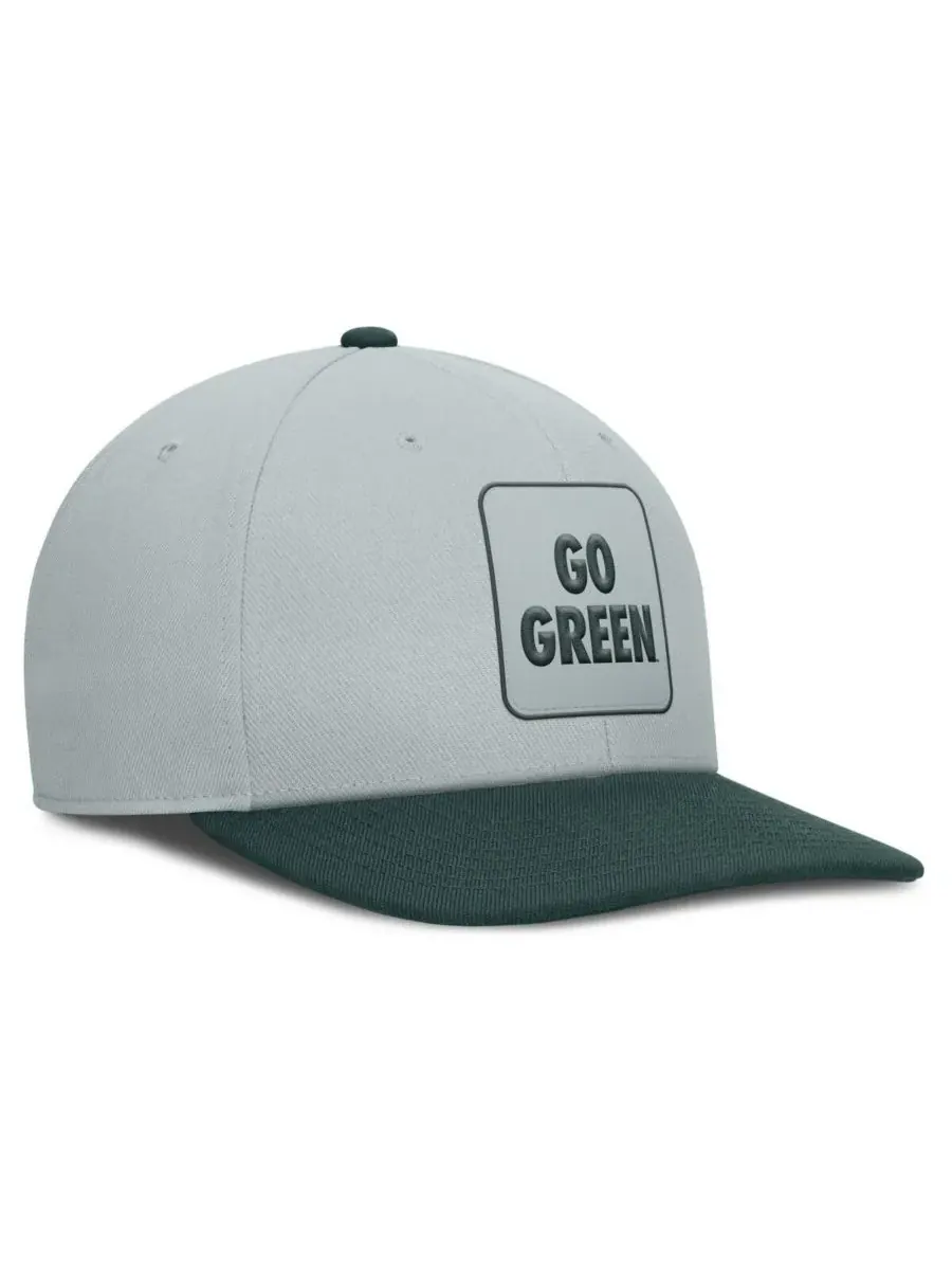 Nike Мужская серо-зеленая кепка-снепбек Michigan State Spartans 2025 Sideline Campus Pro Local — изображение 3 из 4