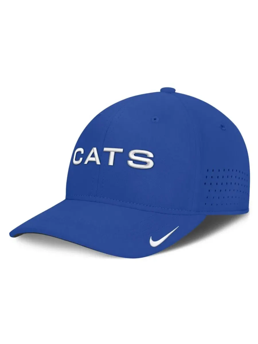 Бейсболка Nike Dri-FIT Gameday Aerobill Swooshflex с вышивкой — изображение 1 из 5, королевский