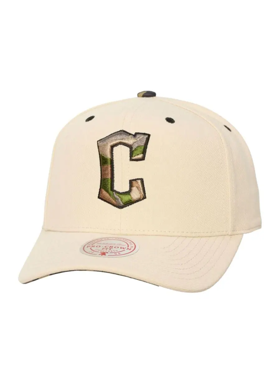 Кепка-снэпбек с камуфляжным принтом, модель Camo Logo Pro Crown Mitchell & Ness — изображение 1 из 3, бежевый