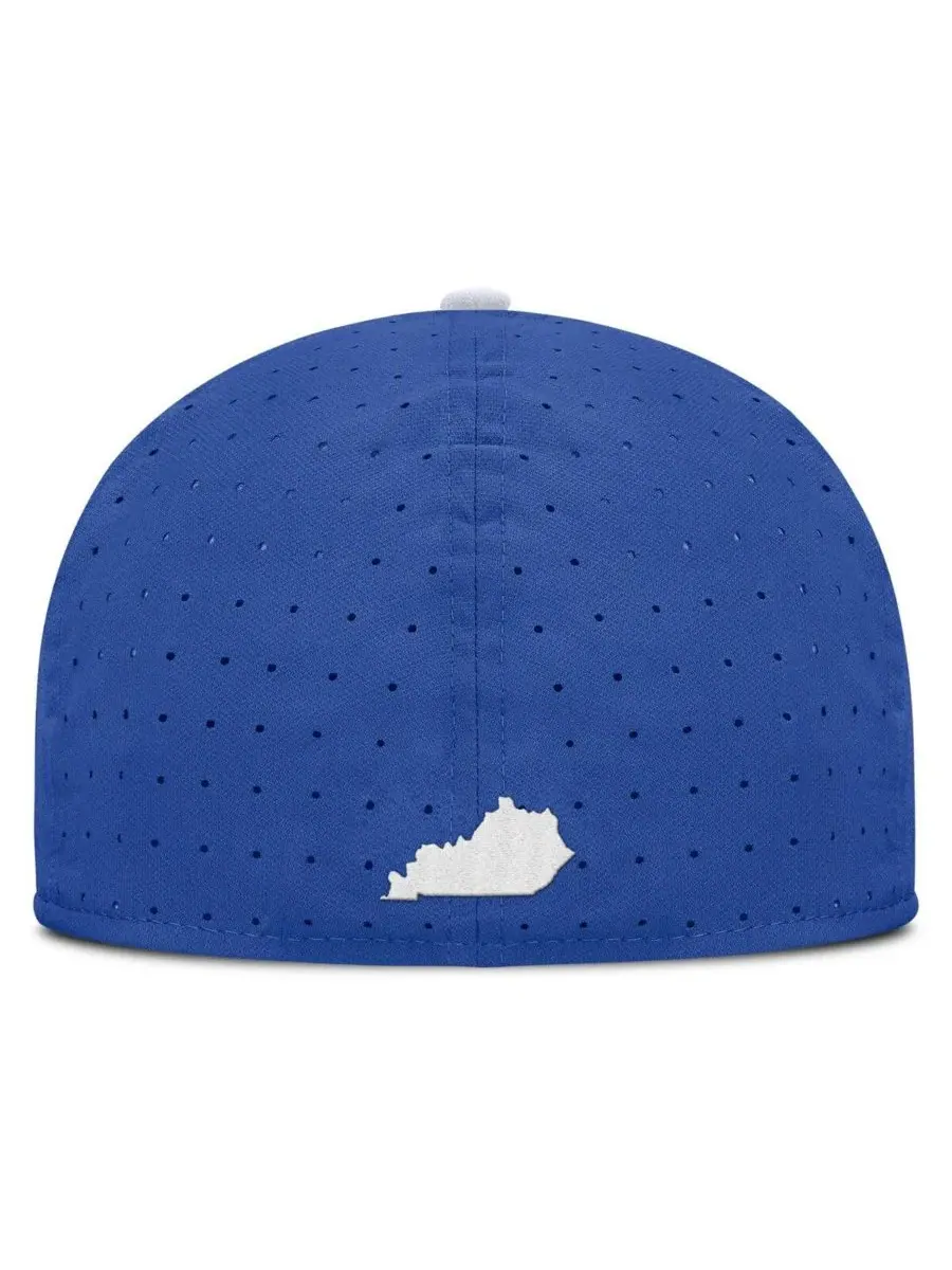 Мужская бейсболка Royal Kentucky Wildcats On-Field Dugout True Performance Fitted Hat Nike — изображение 2 из 5, королевский
