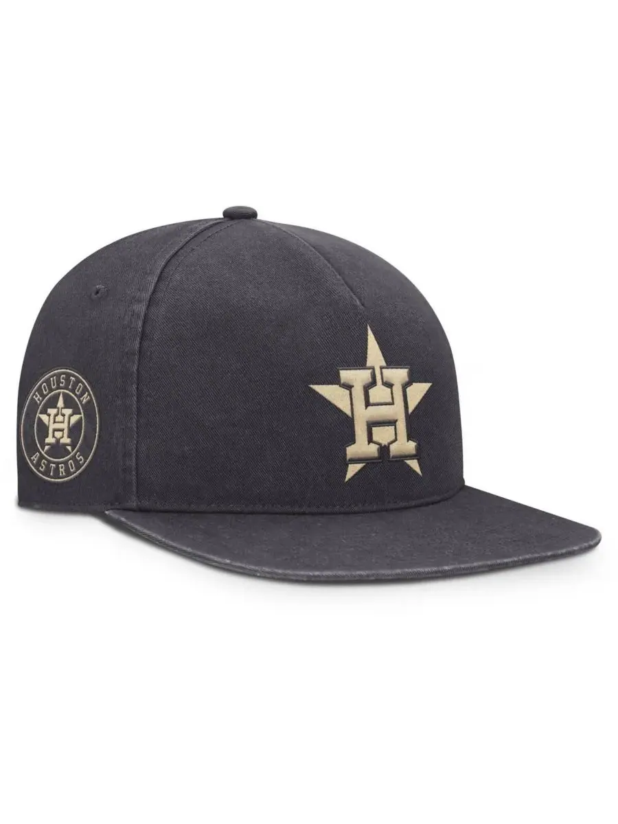 Nike Мужская кепка Houston Astros Monotone Pro Adjustable антрацитового цвета — изображение 1 из 4, серый
