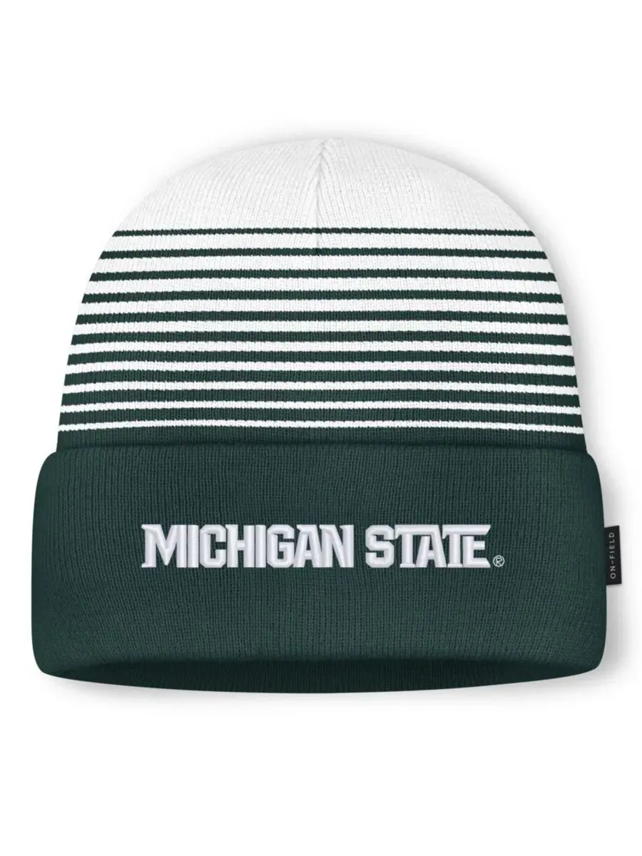 Шапка с эмблемой Michigan State Spartans Nike — изображение 1 из 2, зеленый белый