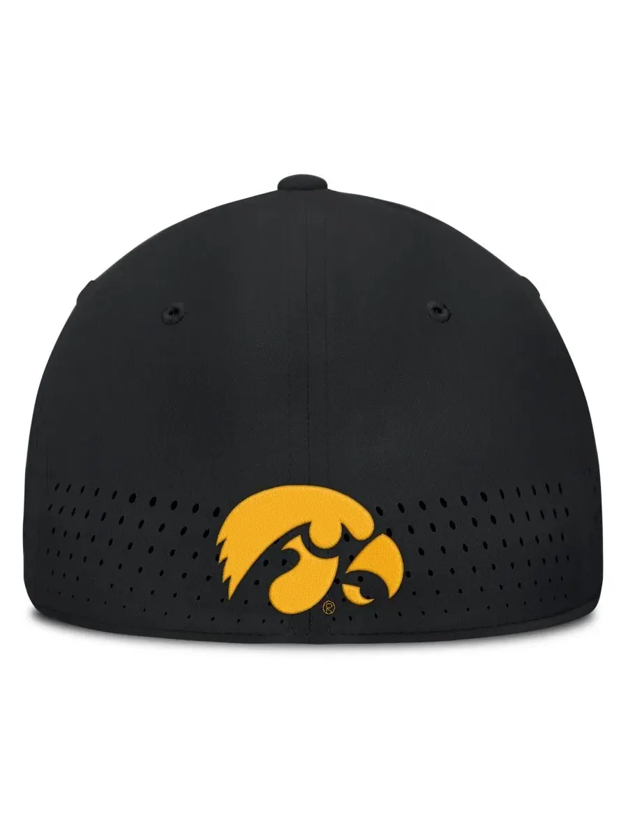 Кепка Nike Iowa Hawkeyes Gameday Aerobill Swooshflex Dri-FIT — изображение 4 из 5, черный
