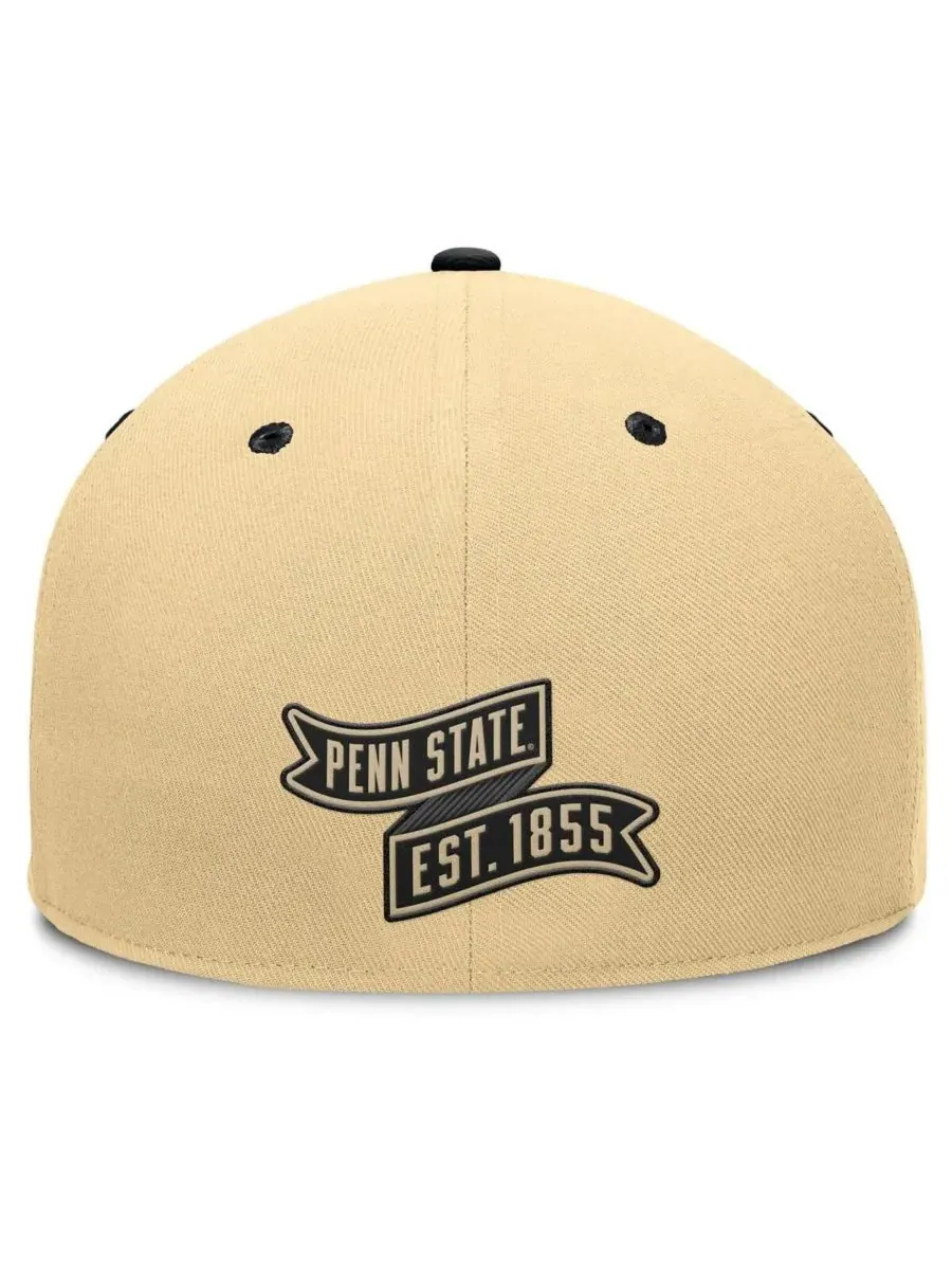 Fanatics Мужская бейсболка Penn State Nittany Lions Balance Fitted Hat цвета хаки/черного цвета — изображение 4 из 4