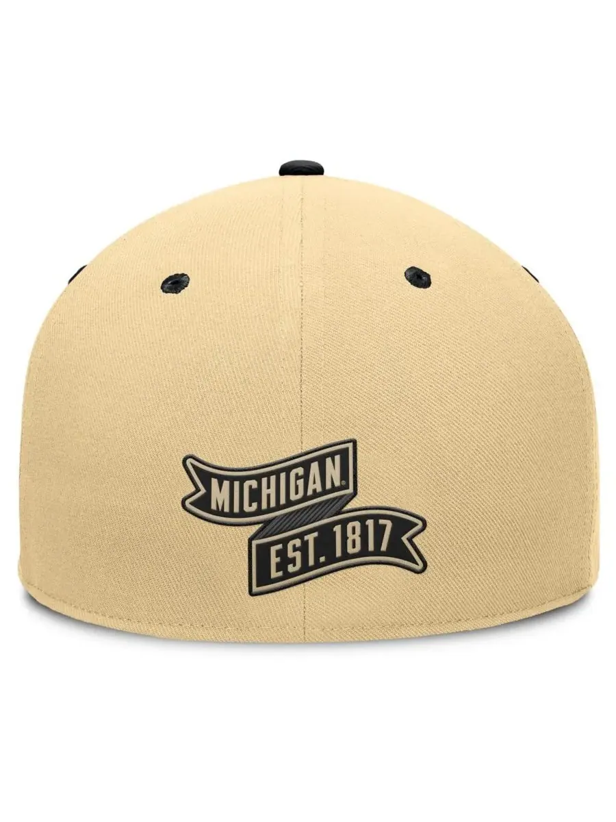 Fanatics Мужская золотисто-черная бейсболка Michigan Wolverines Balance Fitted Hat — изображение 4 из 4, хаки черный