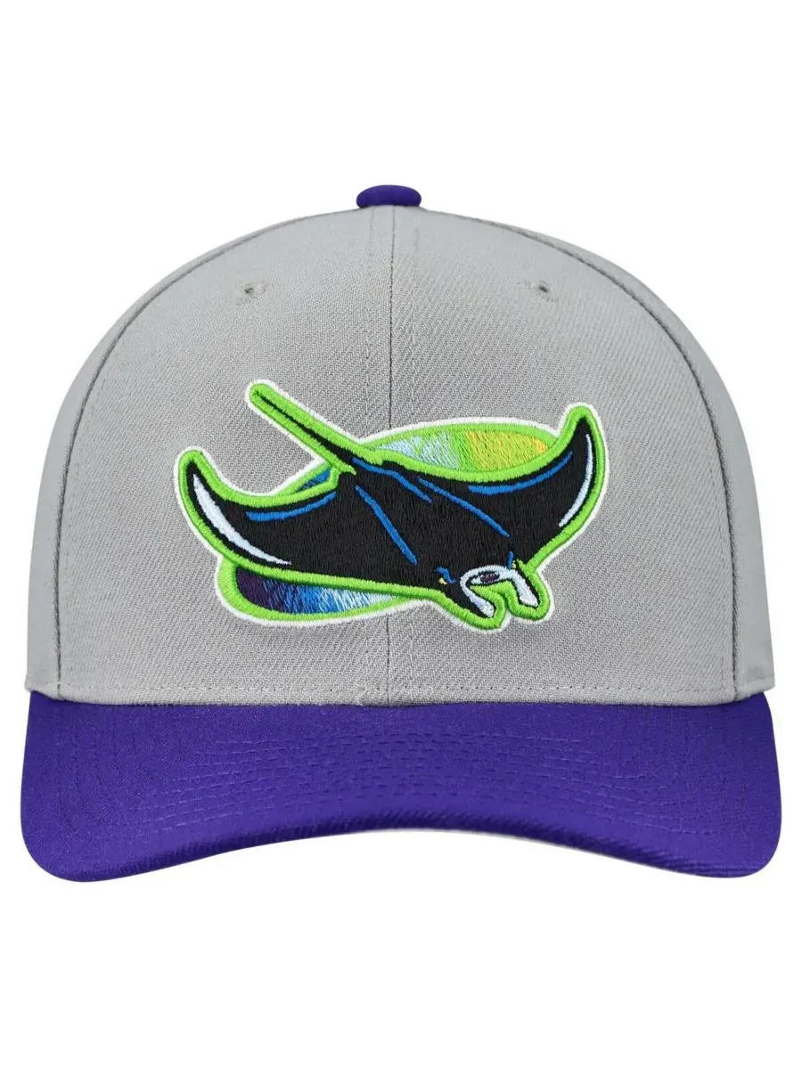 Mitchell & Ness Мужская и женская серая регулируемая бейсболка Tampa Bay Rays Basic Coop Pro — изображение 4 из 4, серый