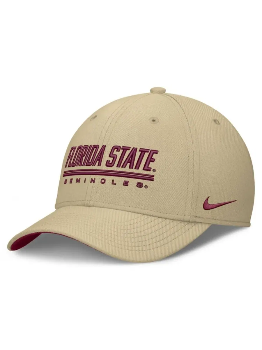 Бейсболка Nike Florida State Seminoles Game Day Rise Swooshflex — изображение 1 из 4, золото