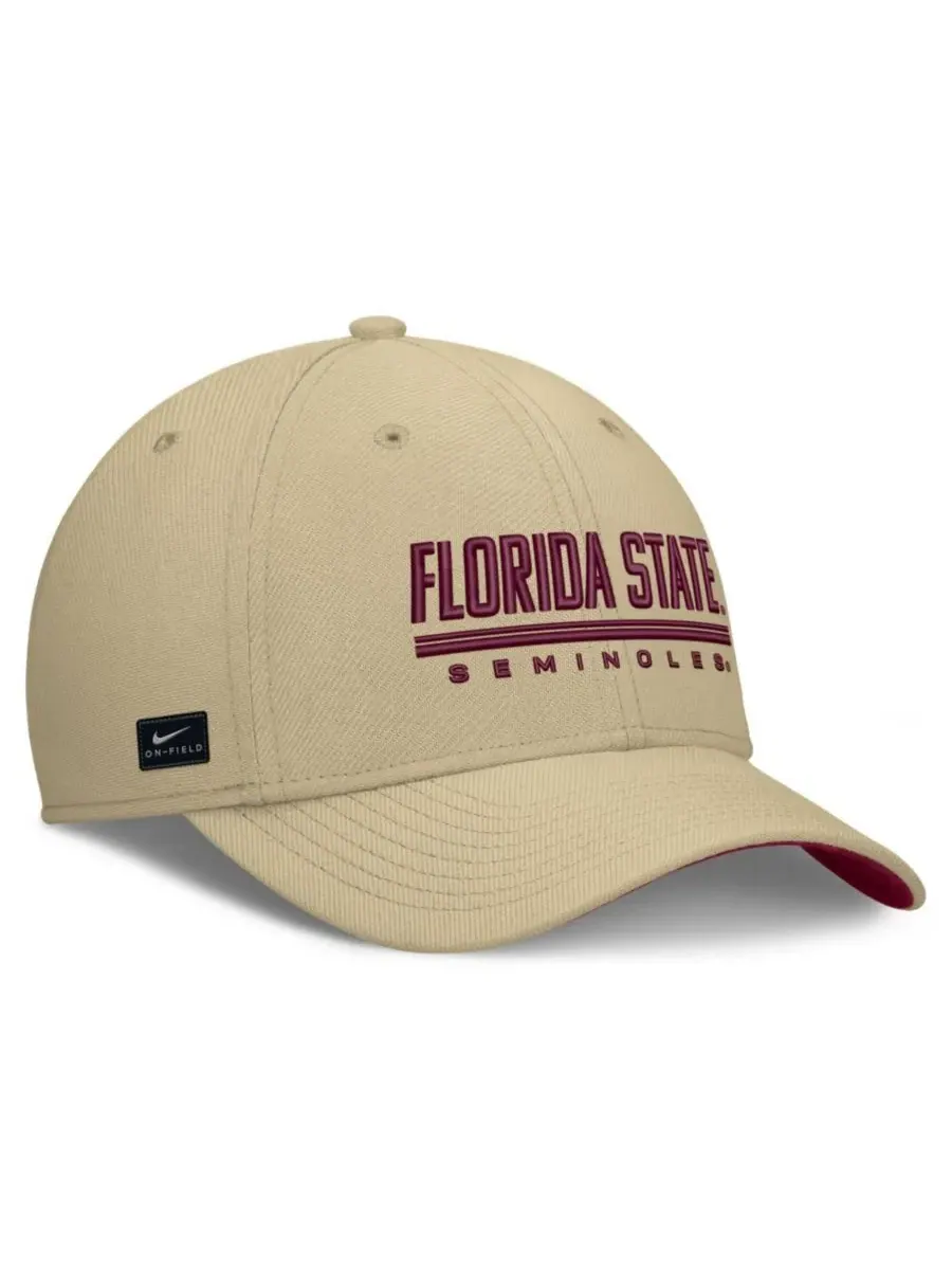 Бейсболка Nike Florida State Seminoles Game Day Rise Swooshflex — изображение 3 из 4, золото