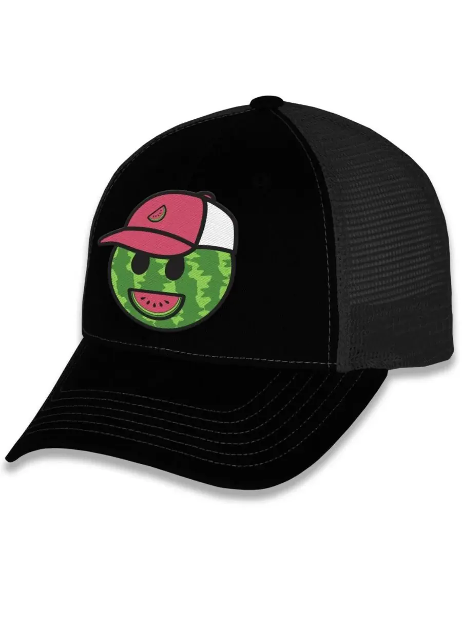 Trackhouse Racing Team Collection Мужская регулируемая кепка Black Ross Chastain Melon Man — изображение 1 из 5, черный
