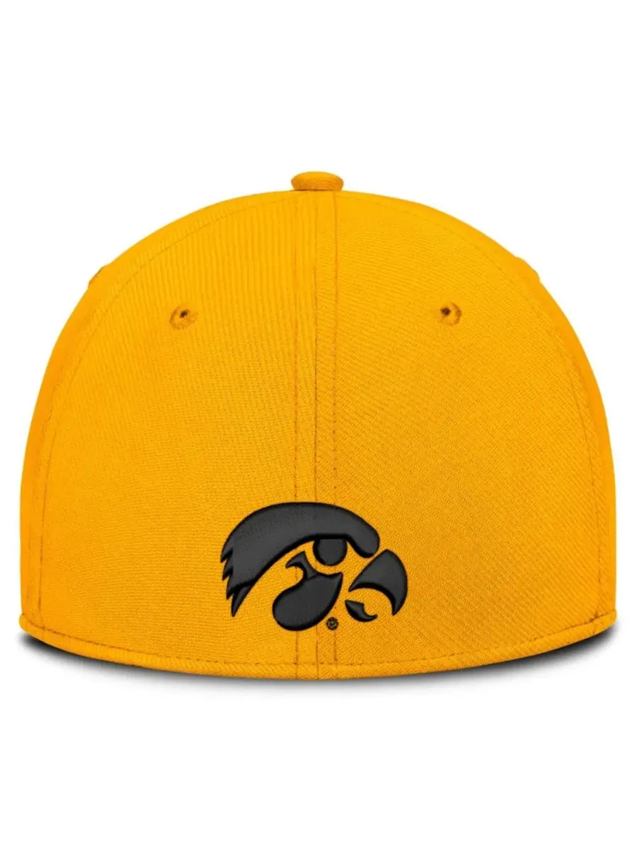 Кепка Nike Game Day Rise Swooshflex, Iowa Hawkeyes — изображение 4 из 4, золото