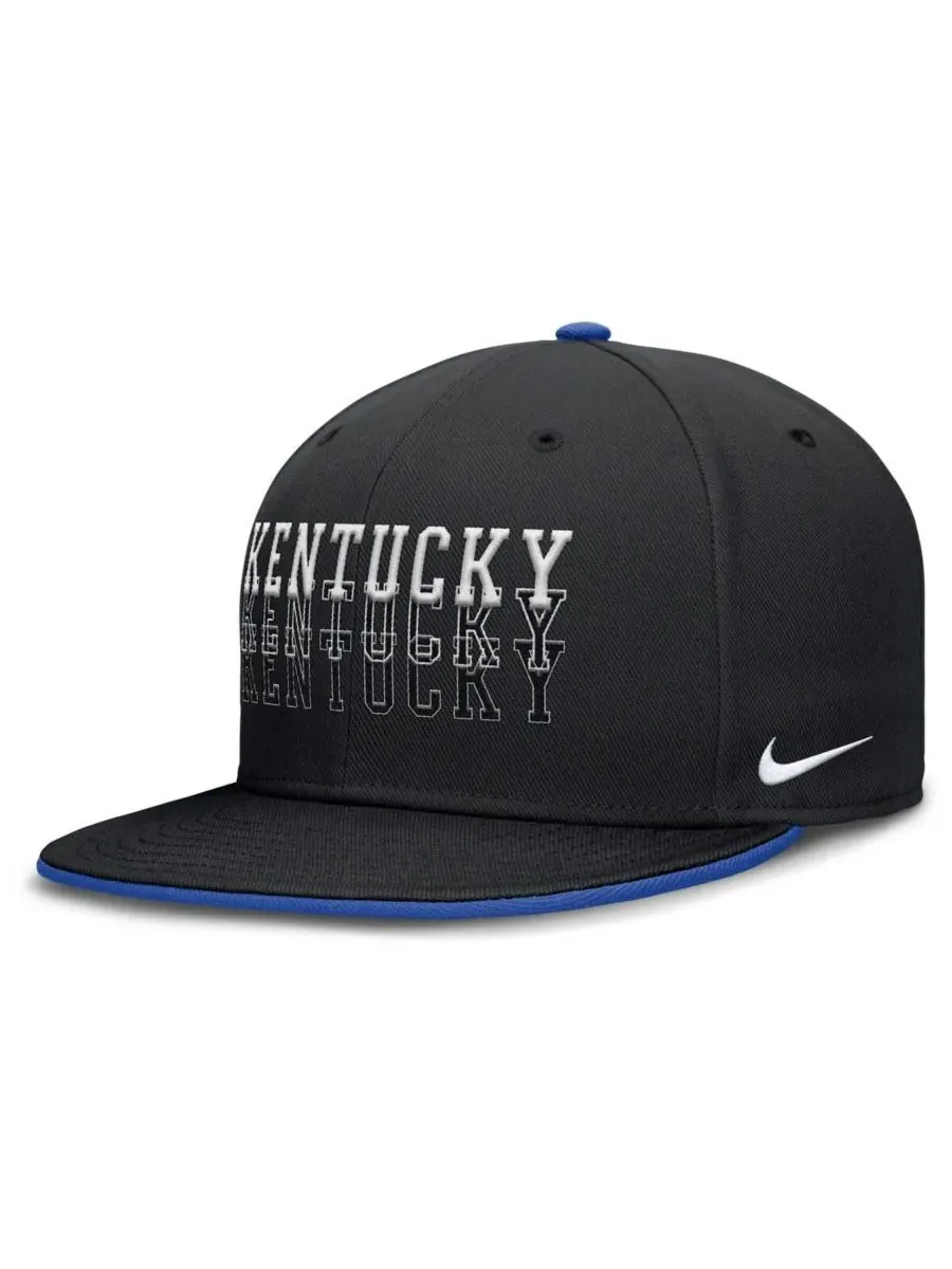 Nike Мужская черная бейсболка Kentucky Wildcats True Primetime Performance Fitted Hat — изображение 1 из 4, черный
