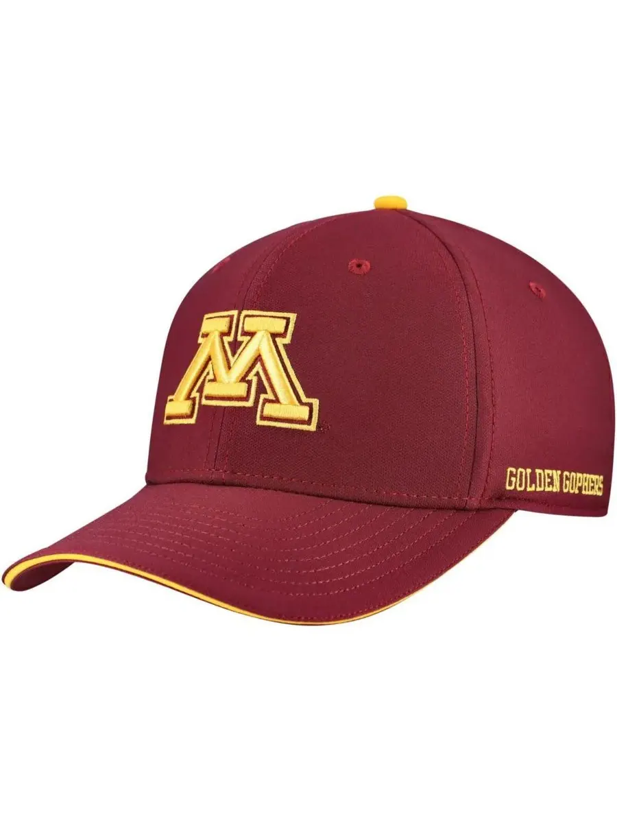 Nike Мужская бордовая бейсболка Minnesota Golden Gophers Rise Performance Flex Hat — изображение 1 из 5, коричневый